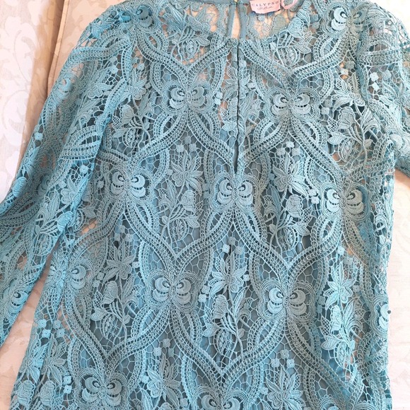 NEW! Calypso St. Barth Women's Magnolia Lined Lace Dress Medium Blue Sz S/M $365 - Picture 4 of 12